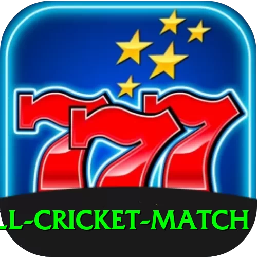 all cricket match Ultimate 2024 - 2