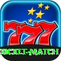 all cricket match Ultimate 2024