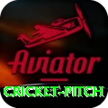 cricket pitch App Pro v5.2.7