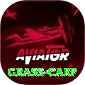 grass carp - Turbo Earning App