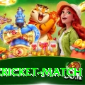 india cricket match Gaming Turbo