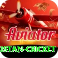 india pakistan cricket Deluxe 2024