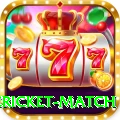 international cricket match Gaming Premium v3.5.8
