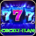 ireland cricket team Super PK v1.7.9