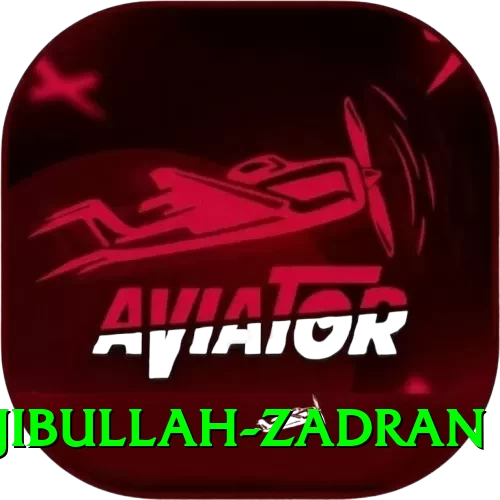 najibullah zadran - Gold Earning App - 2
