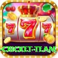 new zealand cricket team Live Pro v1.4.2