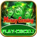 play cricket Super - Daily Bonus