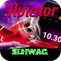 sehwag Slots Premium v2.1.2