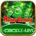 smart cricket live Max - Win Real PKR