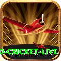 t20 cricket live Slot Machine Premium