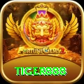 tiger888 Pakistan Plus v1.9.4