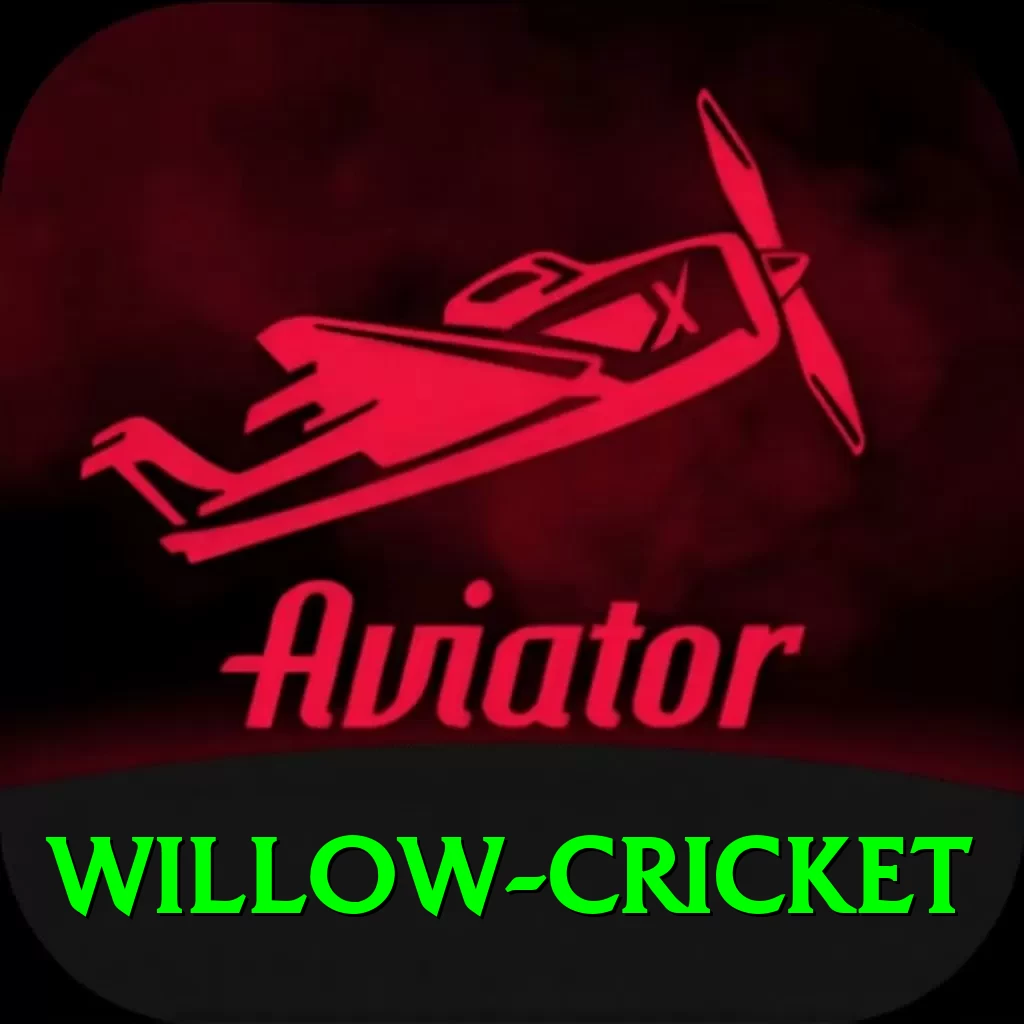 willow cricket Mobile Champion - 2